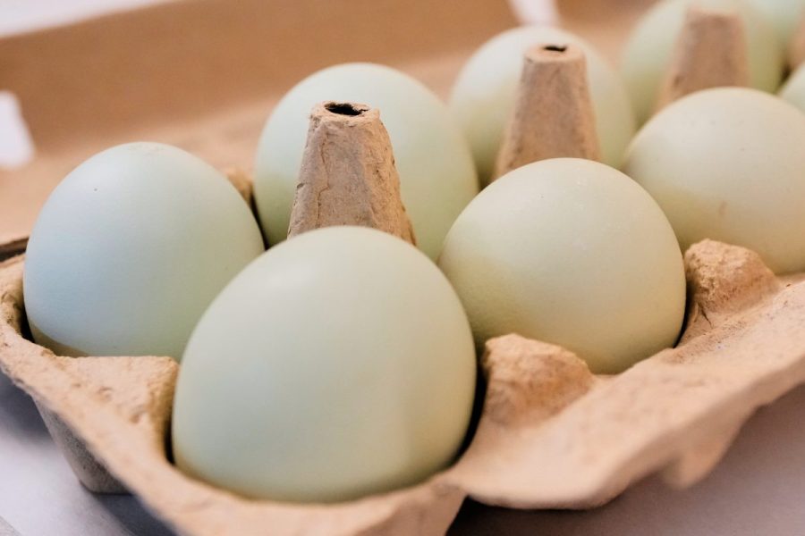 Nearly 1.6 million eggs recalled over salmonella concerns: Full list of products impacted